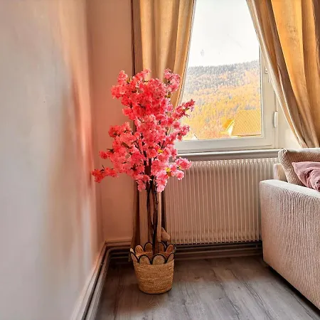 Votre Cocon Vosgien Apartamento